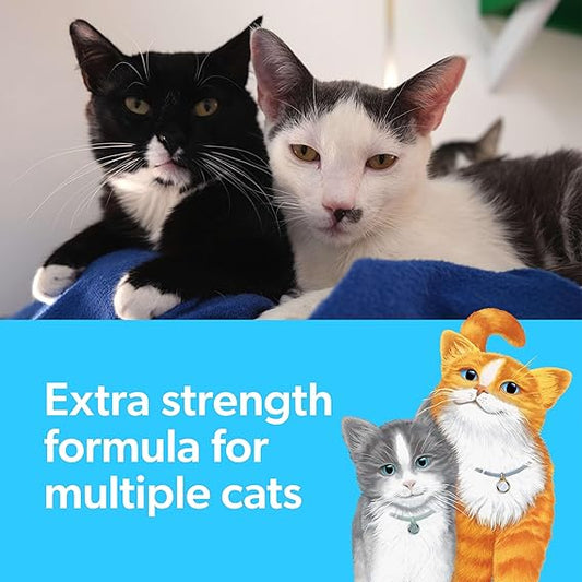 Fresh Step Multi-Cat Clumping Cat Litter | Long-Lasting Odor Control with Febreze | 14 Lbs