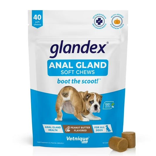 Glandex Digestive Health Anal Soft Chews for Dogs, Peanut Butter Flavored, 40 Count.